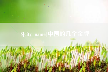 河南中国的几个金牌