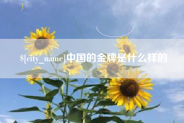 河南中国的金牌是什么样的