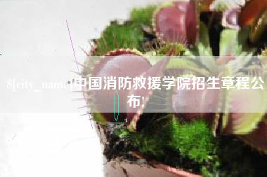 河南中国消防救援学院招生章程公布!