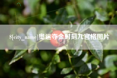 河南奥运夺金时刻九宫格图片
