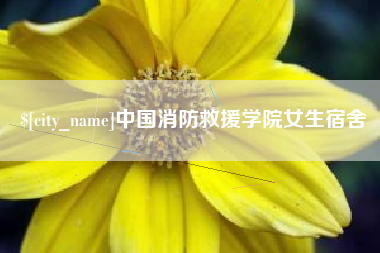 河南中国消防救援学院女生宿舍