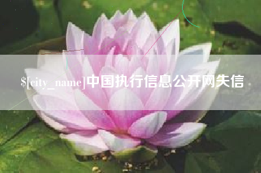 河南中国执行信息公开网失信