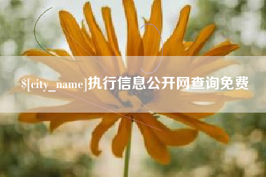 河南执行信息公开网查询免费
