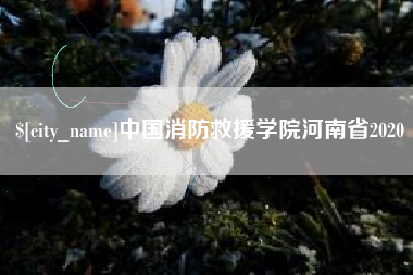 河南中国消防救援学院河南省2020
